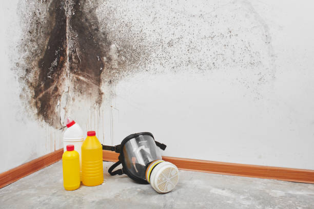 Water Damage Restoration in Nashville, IN