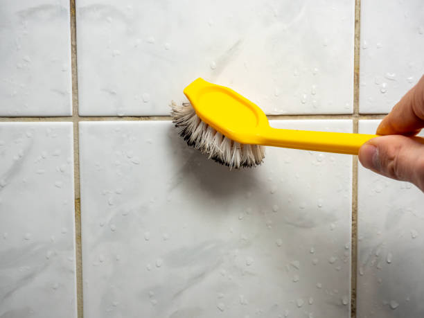 Best Residential Mold Removal  in Nashville, IN