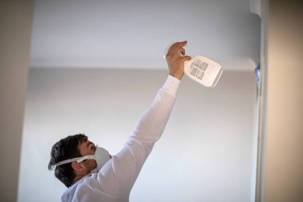 Trusted Nashville, IN Mold Removal Experts