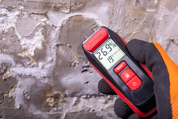 Certified Mold Removal in Nashville, IN
